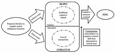 Deep Brain Stimulation to Alleviate Freezing of Gait and Cognitive Dysfunction in Parkinson's Disease: Update on Current Research and Future Perspectives